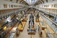 Galerie de Paléontologie - Muséum national d’Histoire naturelle de Paris